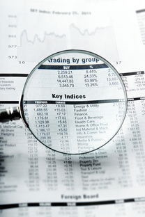 濮阳同志供卵选性别：nt值偏高风险大吗下一步检查什么？